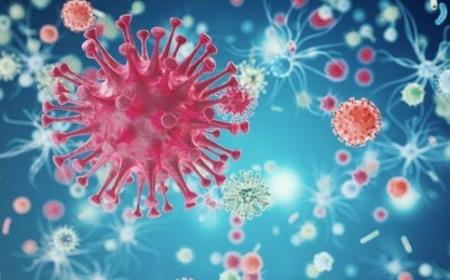 Những nghiên y học cứu nổi bật năm 2018