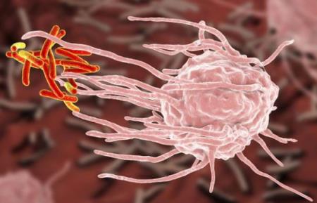 Suốt 40 năm, chúng ta đã bỏ quên một loại kháng sinh rất mạnh