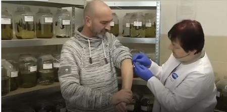 Đỉa trong y học: Tại sao mỗi năm người Nga dùng tới 10 triệu con đỉa để chữa bệnh?