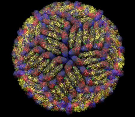 Chuyện chưa kể về đại dịch Zika: Làm thế nào các nhà khoa học chụp được ảnh virus?