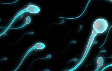 Các nhà khoa học vừa phát hiện một cấu trúc sinh học hoàn toàn mới trong tinh trùng