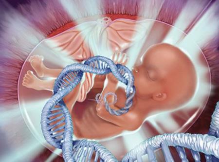 Liệu pháp gen chữa khỏi bệnh bẩm sinh từ giai đoạn bào thai trên chuột, 10 năm nữa có thể ứng dụng trên người