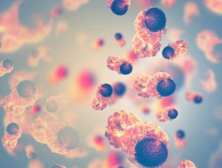 Các nhà khoa học chế tạo một sợi dây nam châm có thể hút tế bào ung thư ra khỏi máu bệnh nhân