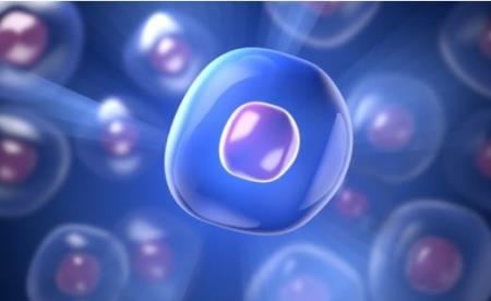 Các nhà khoa học Anh đảo ngược được quá trình lão hóa của tế bào người trong phòng thí nghiệm