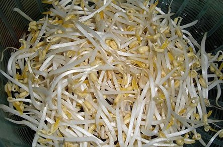 Giá đậu - Món ngon, thuốc quý