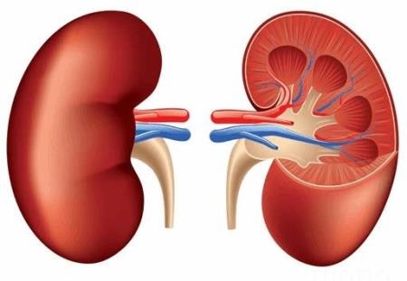 Những nguyên nhân phổ biến gây tiểu đêm