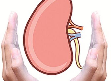 3 thói quen gây hại thận bạn nên tránh