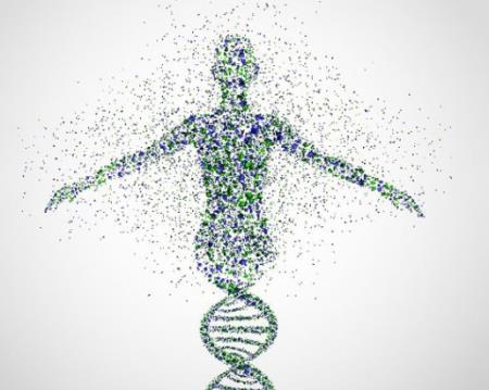 Siêu dự án tham vọng quét được cơ thể người tới độ phân giải từng tế bào