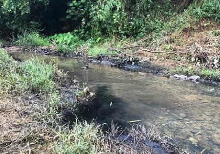 Hà Nội cần đánh giá 'mức độ gây hại của Styren trong nước sạch'