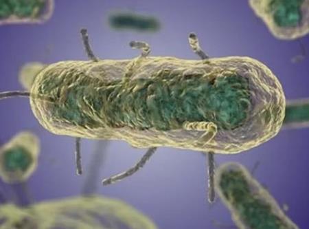 Những bệnh truyền nhiễm nguy hiểm trong lịch sử