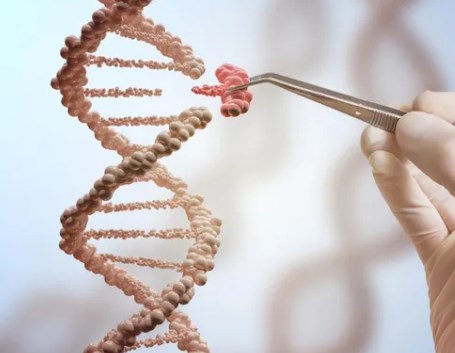 Ilumina Pharma công bố ra mắt tài nguyên giảng dạy mới cho chương trình DNA Decoded