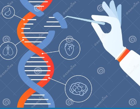 Ba bệnh nhân ung thư ở Mỹ được điều trị bằng kỹ thuật chỉnh sửa gen CRISPR