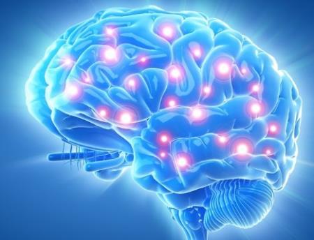 Khi suy nghĩ, bộ não người tiêu thụ bao nhiêu calo?