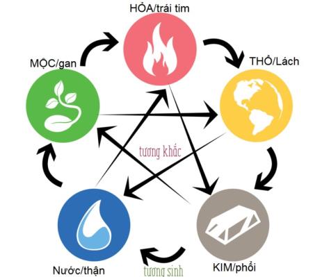 Mối quan hệ giữa khí sắc và ngũ tạng theo Đông y