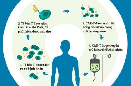 Lập trình tế bào gốc giúp tấn công và tiêu diệt ung thư