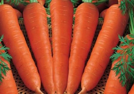 Những loại rau tốt cho người bị đau dạ dày