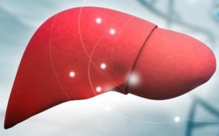 Các nguyên nhân gây bệnh gan, làm sao để lá gan khỏe mạnh