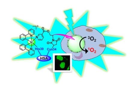 Iri tạo ra thuốc diệt tế bào ung thư