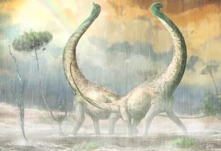 Thượng Đế đã giấu định luật thứ hai nhiệt động lực học vào thế giới động vật như thế nào?