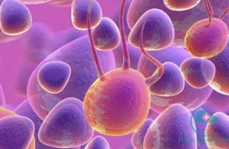 Liệu pháp chữa ung thư giá rẻ đang áp dụng tại VN: Chuyên gia khẳng định kết quả rất tốt