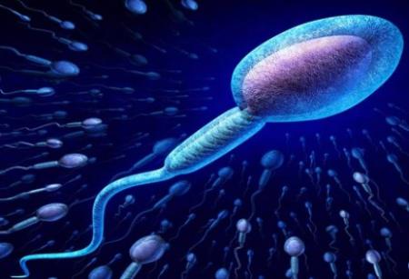 GS nam khoa: Giai đoạn "vàng" để sinh con trước khi khả năng sinh lý giảm, tinh trùng yếu