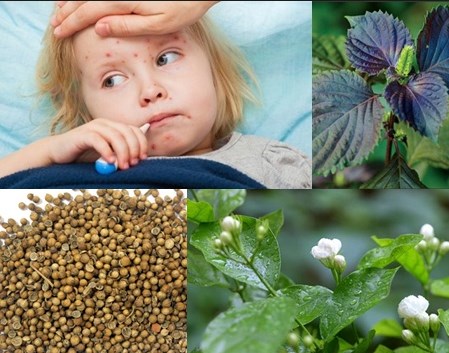 Trị bệnh sởi theo phương pháp Đông y