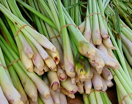 Sả rất nhiều công dụng cho của sức khỏe: giúp loại vi khuẩn, tẩy giun, thải độc