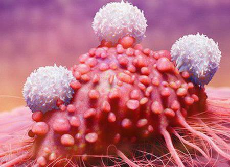 Đột phá "ngựa thành Troy" trị 6 bệnh ung thư