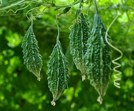 Thực phẩm phòng và ngăn ngừa tiểu đường