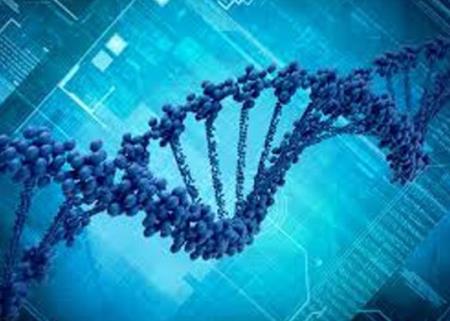 Xác định được cơ chế khiến ung thư tuyến tiền liệt trở nên "sát thủ"