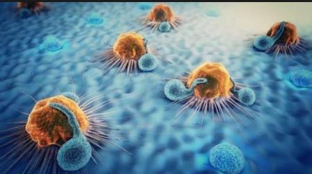 Chúng ta có thể ăn kiêng để bỏ đói tế bào ung thư được hay không?