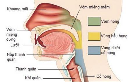 Bệnh nhân ở Hà Nội 16 tuổi đã ung thư vòm họng: Nghi ngờ thủ phạm là thứ người Việt rất mê