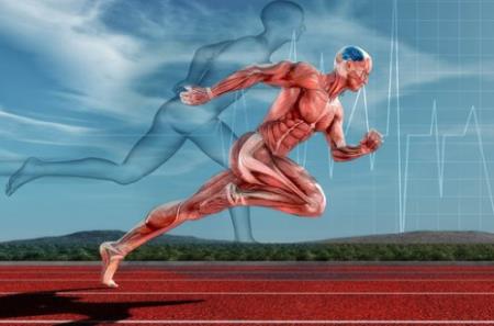 Khoa học đã tìm ra giới hạn sức chịu đựng của con người, vượt qua nó, cơ thể sẽ phải tự ăn chính mình để hoạt động