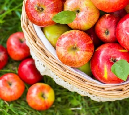 Lợi ích khi ăn táo mỗi ngày