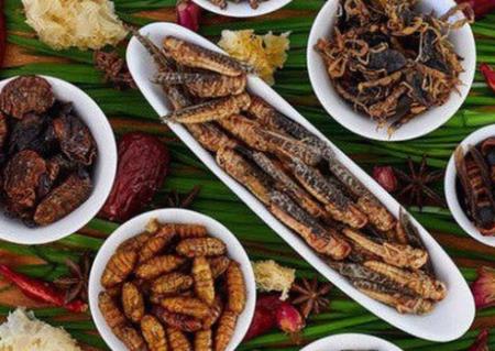 Món ăn kỳ quái nhưng chống ung thư cực kỳ hiệu quả