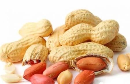 Những lợi ích bất ngờ từ "quả trường sinh"