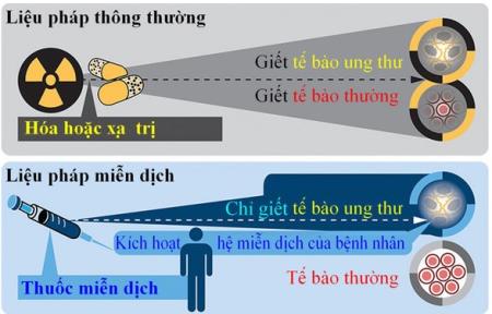 Liệu pháp miễn dịch ung thư
