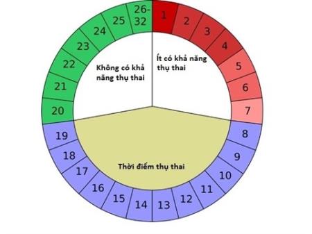Sau hành kinh bao nhiêu ngày thì rụng trứng? 