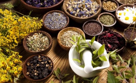 Bài thuốc trị khản tiếng, mất tiếng mạn tính