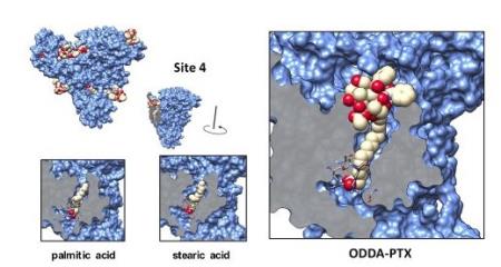 Chúng ta có thể chiến thắng ung thư bằng một "con ngựa thành Troy"?