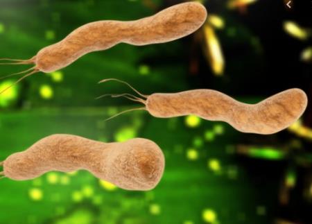 Bố mẹ khốn khổ điều trị viêm dạ dày cho con và bài học: Đừng dùng chung bát nước chấm nữa!