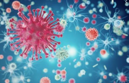 Tế bào ung thư bị tiêu diệt nhờ căn bệnh 'nhẹ' người Việt ai cũng mắc