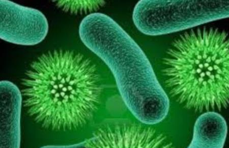 Nhà khoa học Thụy Điển cảnh báo dịch siêu khuẩn tại bệnh viện Việt Nam