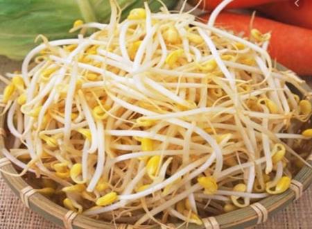 Tìm thấy vi khuẩn kháng tất cả kháng sinh có trong giá đỗ: Không được ăn sống, kể cả tự làm