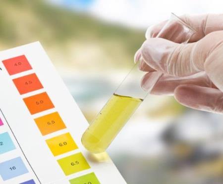 Nước tiểu đục biểu hiện bệnh gì?