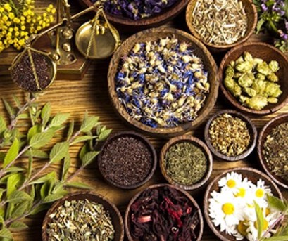 Thảo dược chữa bệnh gan do rượu