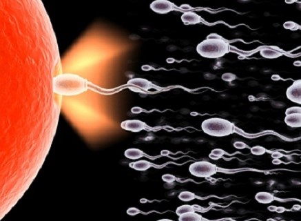 Yếu tố nào gây hại “tinh binh”?