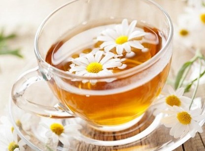 Hoa cúc trắng chữa hoa mắt, chóng mặt