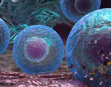 BS nhắc bệnh nhân ung thư: Muốn chiến thắng được bệnh, 70% phụ thuộc vào "bí quyết" này