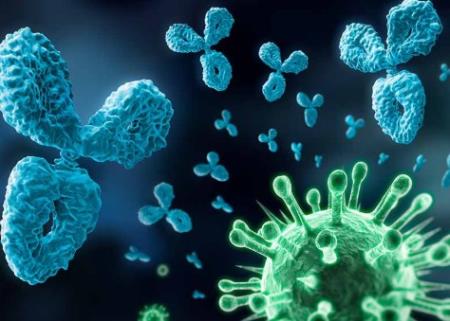 Trong cuộc chiến của vi khuẩn, con người chỉ là một thường dân nhỏ bé